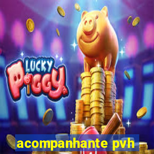 acompanhante pvh